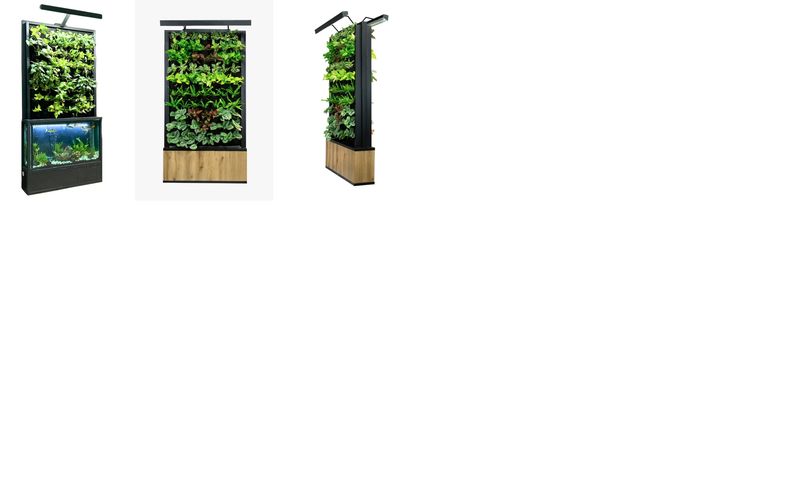 Aquaponic system with vertical plant beds and fish tank